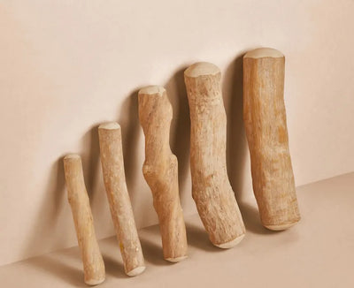 Tamioh Coffee Wood Chew Sticks