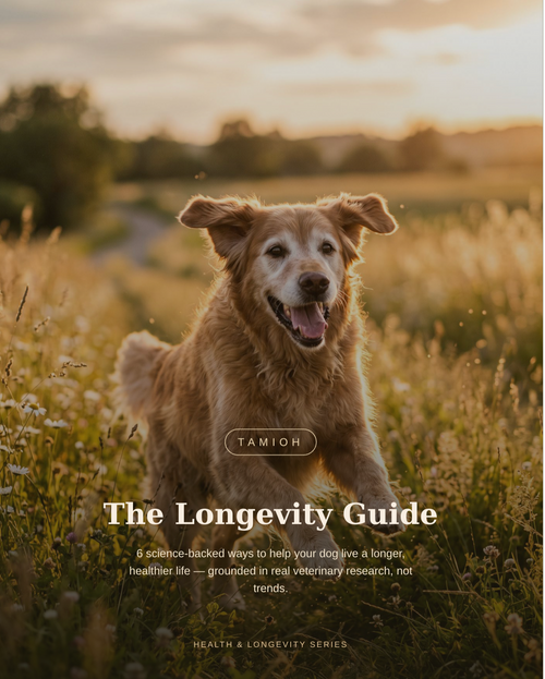 Longevity GUIDE