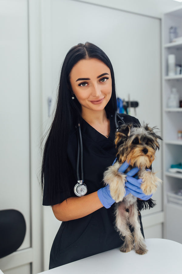 Dr. Lena P