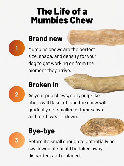 Tamioh Coffee Wood Chew Sticks