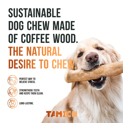 Tamioh Coffee Wood Chew Sticks