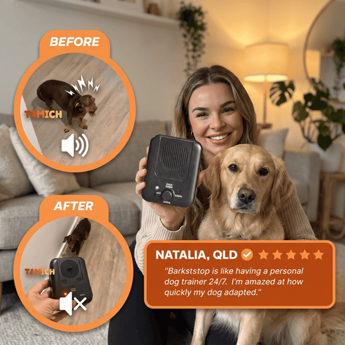 BarkStop - Anti-Bark System