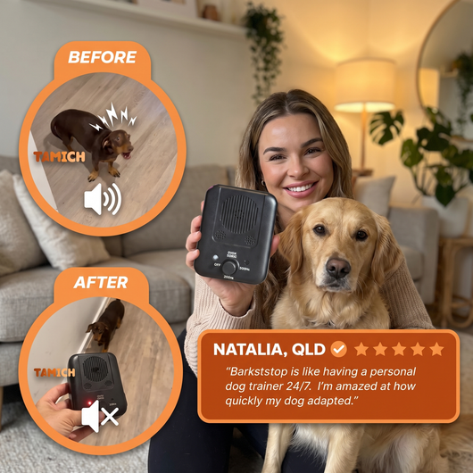 BarkStop - Anti-Bark System