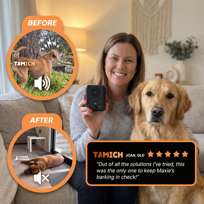 BarkStop - Anti-Bark System