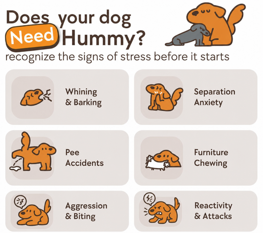 Hummy - Anxiety relief Comforter