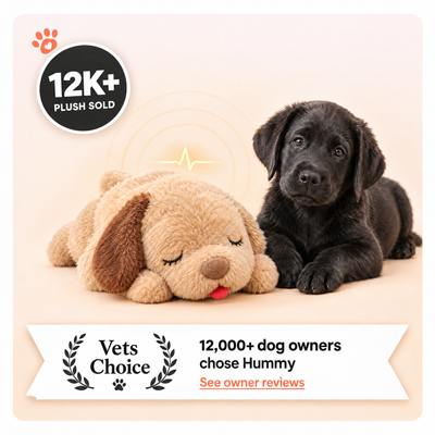 Hummy - Anxiety relief Comforter